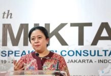 Ketua DPR Minta Pemerintah Beri Perlindungan ke WNI Korban Gempa di Jepang