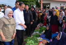 Hari Kedua di Sulsel, Presiden dan Ibu Iriana Kunjungi Pasar Cekkeng Bulukumba