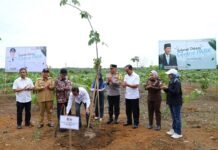 Dukung Asta Cita Presiden, Kapolda Kalsel dan Menteri Lingkungan Hidup Bersama Forkopimda Tanam Bibit di Lahan 560 Hektare