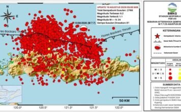 Gempa Susulan Flores M7,7 Capai 2.768 Kejadian, BMKG Imbau Warga Tetap Waspada