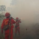 Hotspot Karhutla Naik, Kemenhut Perkuat Operasi di Kalteng dan Kalbar