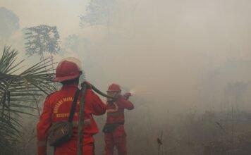 Hotspot Karhutla Naik, Kemenhut Perkuat Operasi di Kalteng dan Kalbar