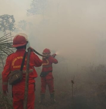 Hotspot Karhutla Naik, Kemenhut Perkuat Operasi di Kalteng dan Kalbar