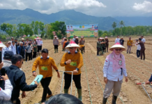 Dorong Ketahanan Pangan, Bupati Azhari Ajak Warga Garap Lahan Tidur untuk Kedelai