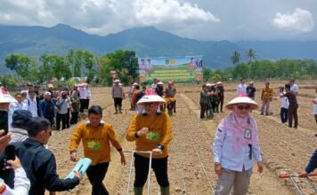 Bupati Azhari Targetkan Lahan Kosong di Lebong Produktif Lewat Budidaya Kedelai