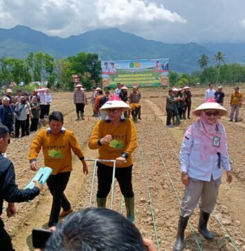 Bupati Azhari Targetkan Lahan Kosong di Lebong Produktif Lewat Budidaya Kedelai